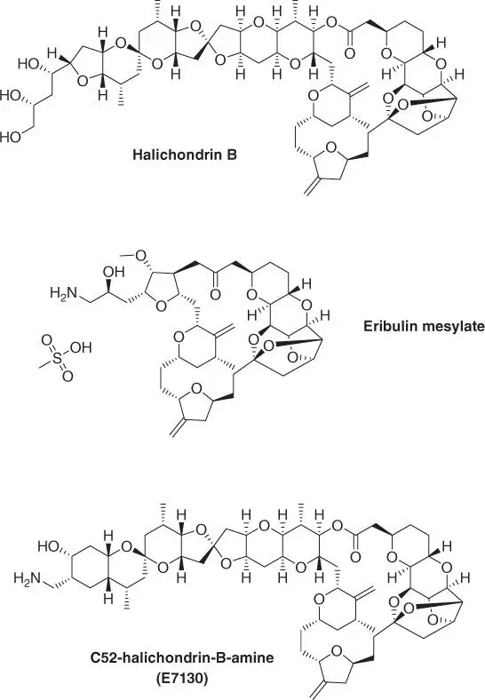 Figure 110 Structures of halichondrin B eribulin mesylate and E7130 Albeit - фото 13