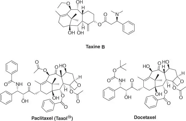 Figure 17 Taxol derivatives Two years later Wall and Wani at Research - фото 10