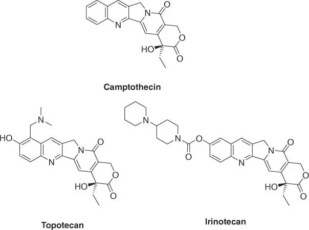 Figure 16 Camptothecin and approved derivatives 1422 Taxol The discovery - фото 9