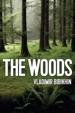 Vladimir Bibikhin The Woods обложка книги