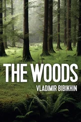 Vladimir Bibikhin - The Woods