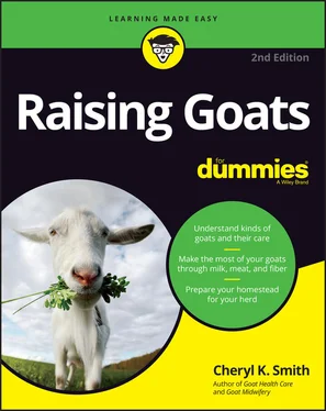 Cheryl K. Smith Raising Goats For Dummies обложка книги