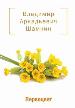 Владимир Шамкин Первоцвет (сборник) обложка книги