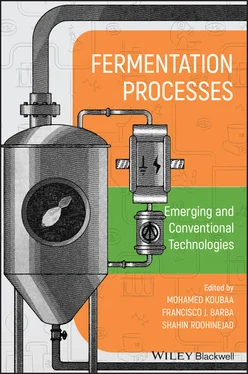Неизвестный Автор Fermentation Processes: Emerging and Conventional Technologies обложка книги