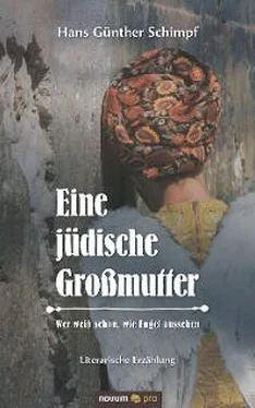 Hans Günther Schimpf Eine jüdische Großmutter обложка книги