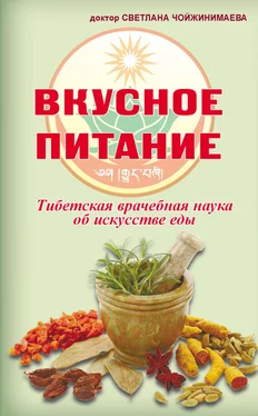 Светлана Чойжинимаева Вкусное питание. Тибетская врачебная наука об искусстве еды обложка книги