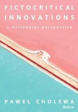 Pawel Cholewa Fictocritical Innovations обложка книги