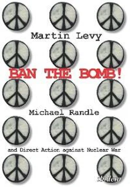 Martin Levy Ban the Bomb! обложка книги