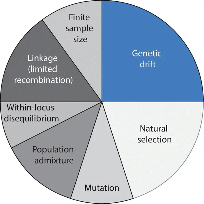 Figure 220 A hypothetical partitioning of the contributions to the total - фото 104