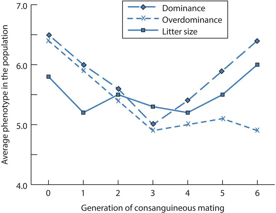 Figure 217 A graphical depiction of the predictions of the dominance and - фото 95
