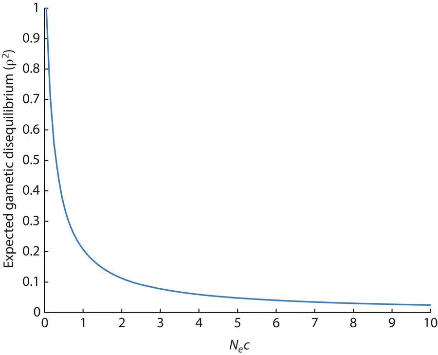 Figure 223 Expected levels of the squared gametic disequilibrium correlation - фото 117