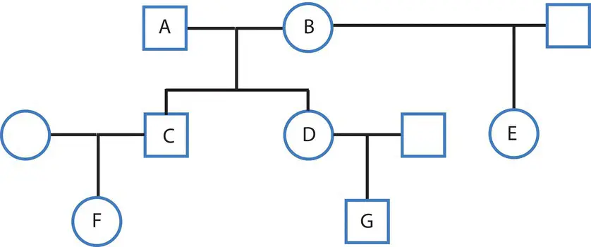 Figure 216 A pedigree showing first A and C are parent and offspring C and D - фото 87