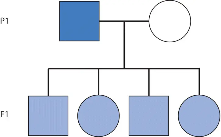 Figure 21 The model of blending inheritance predicts that progeny have - фото 16