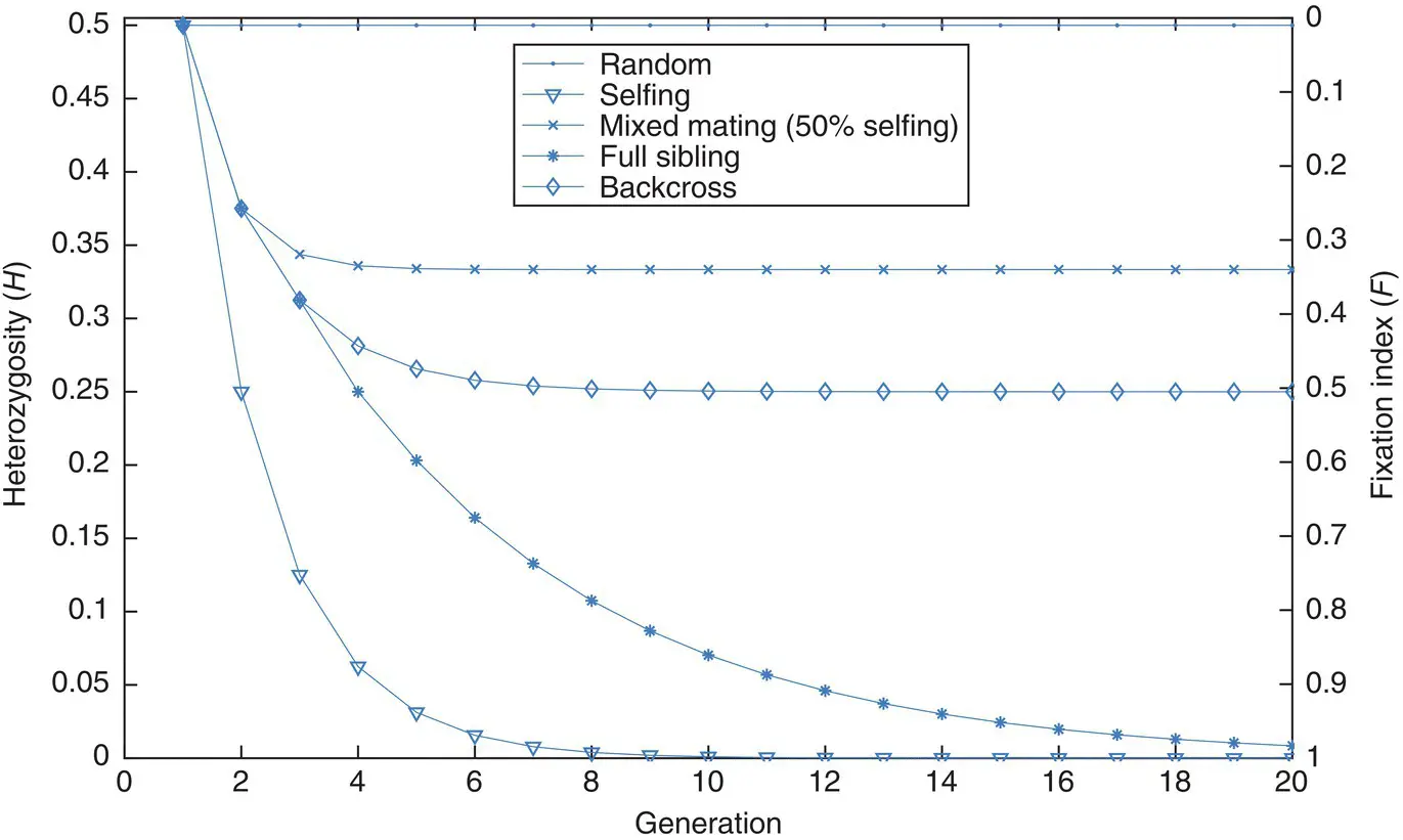 Figure 213 The impact of various systems of mating on heterozygosity H and - фото 81