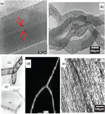 Figure 16 a TEM image showing graphene layers of b entwined carbon - фото 8