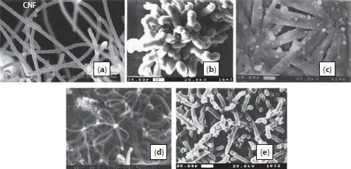 Figure 14 SEM images of carbon fibers CF synthesized from camphor as - фото 6