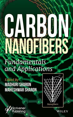 Неизвестный Автор Carbon Nanofibers обложка книги