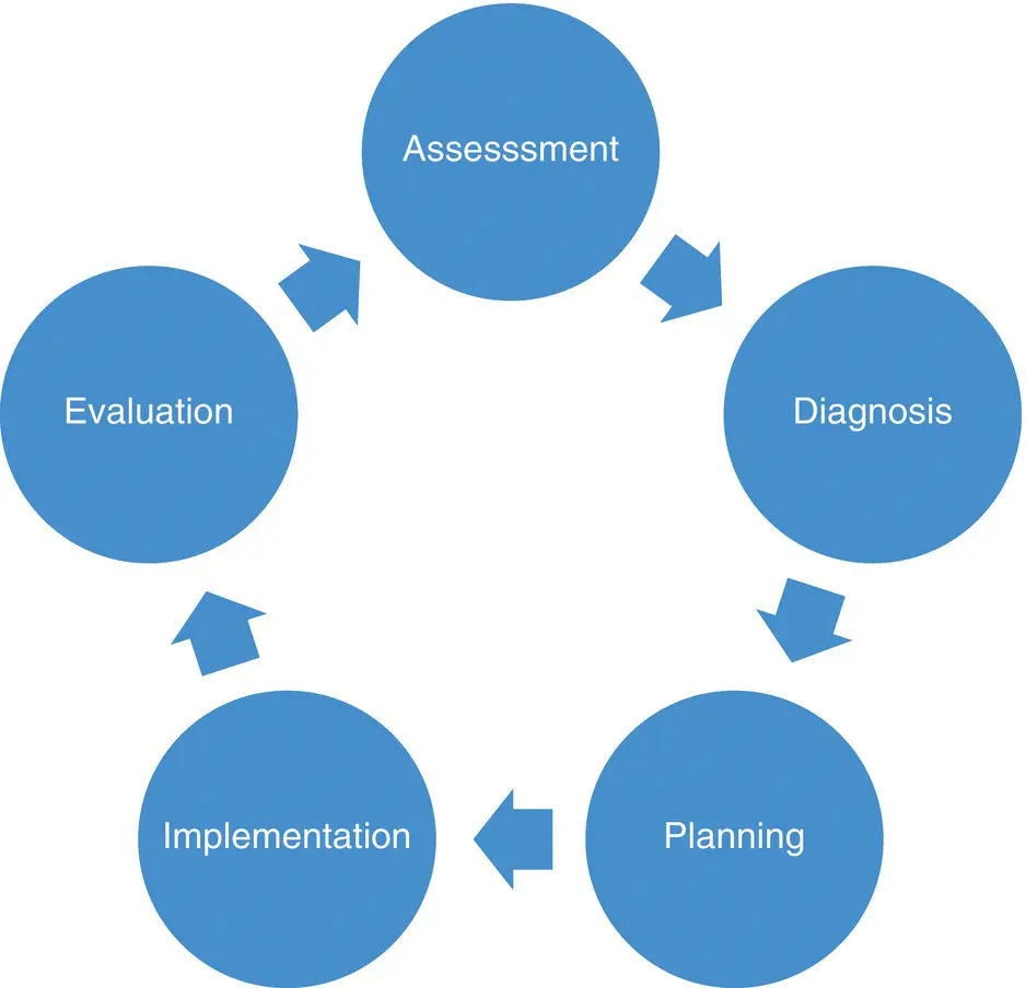 Figure 11 A systematic approach to care provision Clinical judgment is used - фото 2