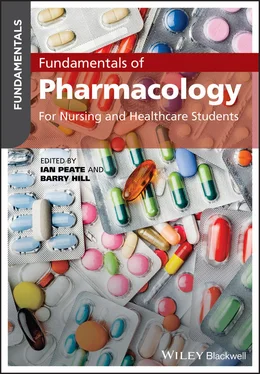 Неизвестный Автор Fundamentals of Pharmacology обложка книги