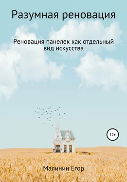 Егор Малинин Разумная реновация обложка книги