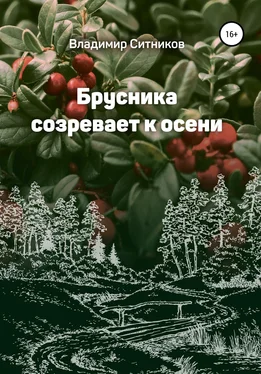 Владимир Ситников Брусника созревает к осени обложка книги