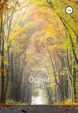 Ю. Силин Осени обложка книги