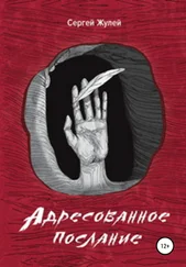 Сергей Жулей - Адресованное послание