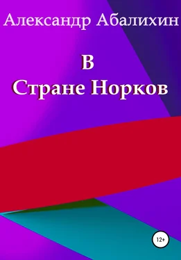 Александр Абалихин В Стране Норков обложка книги