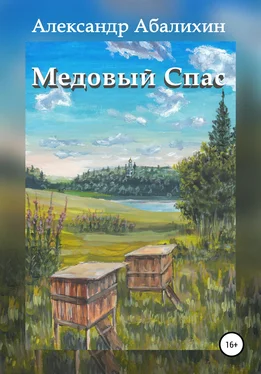 Александр Абалихин Медовый Спас обложка книги