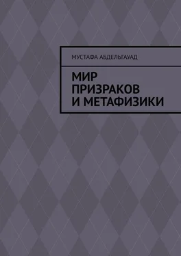 Мустафа Абдельгауад Мир призраков и метафизики обложка книги