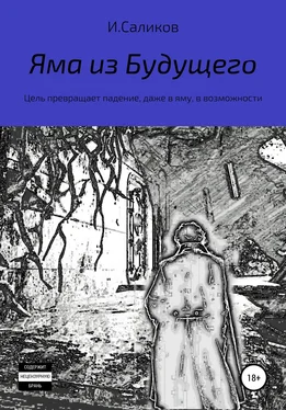 Игорь Саликов Яма из будущего обложка книги