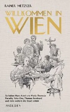 Rainer Metzger Willkommen in Wien обложка книги