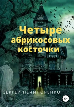 Сергей Нечипоренко Четыре абрикосовые косточки обложка книги