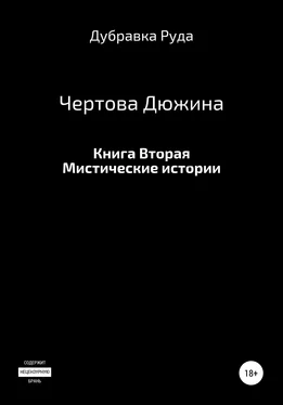 Дубравка Руда Чертова Дюжина. Книга Вторая. обложка книги