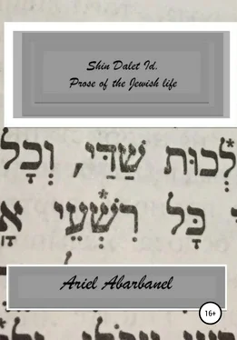 Ariel Abarbanel Shin Dalet Id. Prose of Jewish life обложка книги