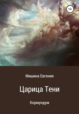 Евгения Мишина Кормундум. Царица Тени обложка книги