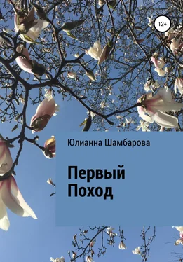 Юлианна Шамбарова Первый поход обложка книги