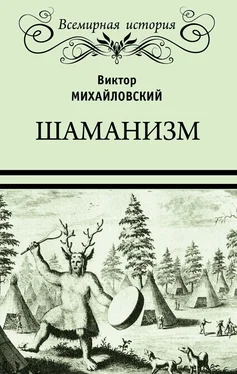 Виктор Михайловский Шаманизм обложка книги