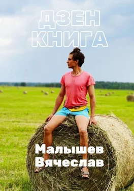 Вячеслав Малышев Дзен-книга. Часть 2 обложка книги