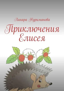 Линара Нуриманова Приключения Елисея обложка книги