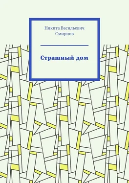 Никита Смирнов Страшный дом обложка книги