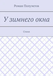 Роман Полуэктов - У зимнего окна. Стихи