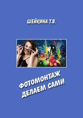Тамара Шейкина - Фотомонтаж делаем сами. Книга с уроками по работе в графическом редакторе