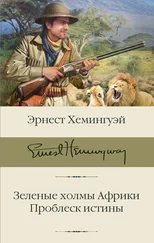 Эрнест Хемингуэй - Зеленые холмы Африки. Проблеск истины