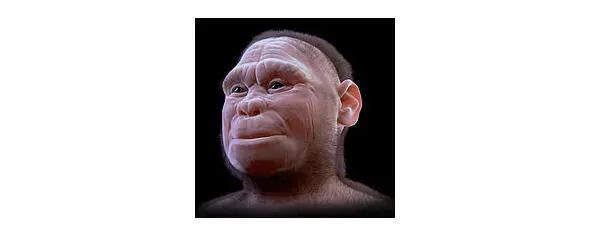 Реконструкция облика Homo floresiensis выполненная в рамках проекта ATOR 2015 - фото 38