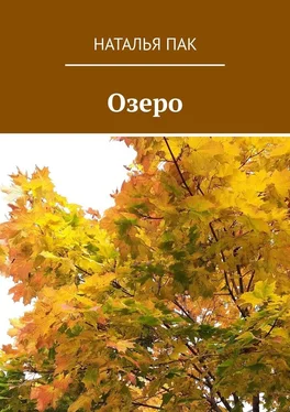 Наталья Пак Озеро обложка книги