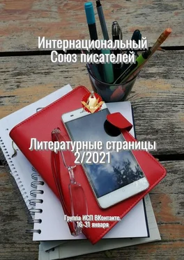 Валентина Спирина Литературные страницы 2/2021. Группа ИСП ВКонтакте. 16—31 января обложка книги