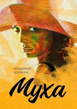 Владимир Хомичук Муха обложка книги