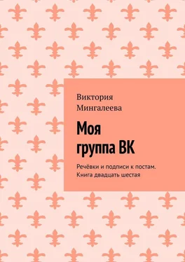 Виктория Мингалеева Моя группа ВК. Речёвки и подписи к постам. Книга двадцать шестая обложка книги