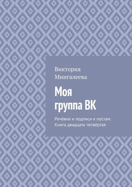 Виктория Мингалеева Моя группа ВК. Речёвки и подписи к постам. Книга двадцать четвёртая обложка книги